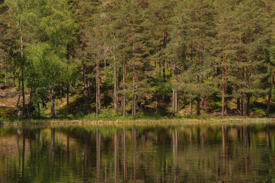 Lake Walk and Campfire - Cancellation Policy