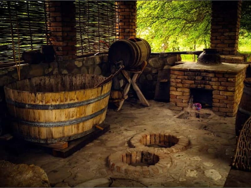 Land of the Sun Full Day Wine and Grapes Tour in Kakheti - Who Will Love This Tour?