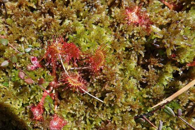 Land of the Volcanoes Full Day Tour - Frequently Asked Questions