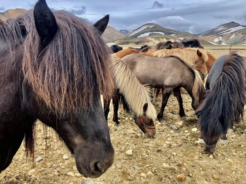 Landmannalaugar Jeep Tour - Geothermal Scenery