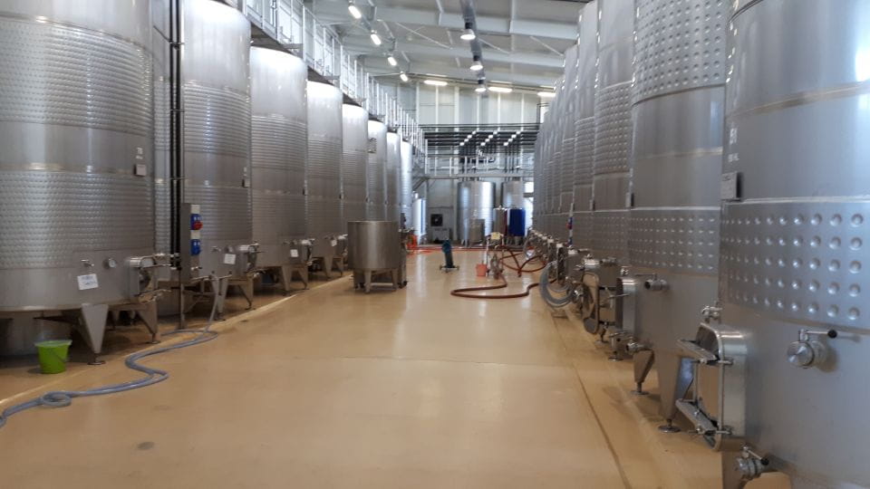 Lands of Armenia Wine Tour - Tasting Experience