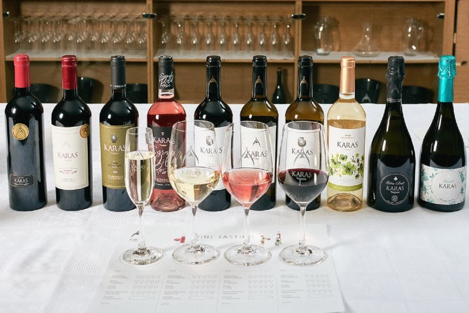 Lands of Armenia Wine Tour - Winemaking Process