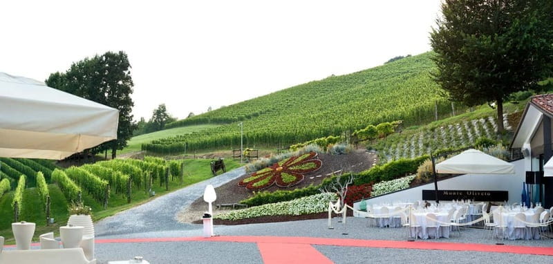 Langhe and Roero: Cooking class and tasting of Piedmontese cuisine - Price and Logistics: What to Know