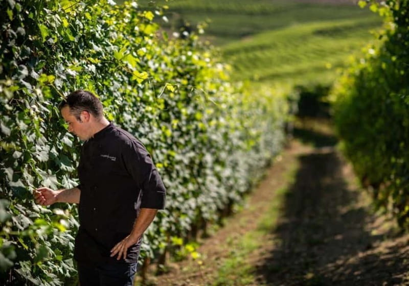 Langhe and Roero: Cooking class and tasting of Piedmontese cuisine - The Sum Up