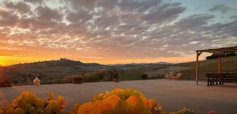 Langhe e Monferrato: Amerio Vincenzo Wine Tour and Tasting - Key points / Takeaways