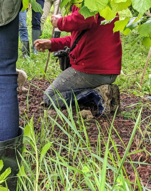 Langhe: Truffle Hunt and Wine-Tasting in a Cellar - Key points / Takeaways