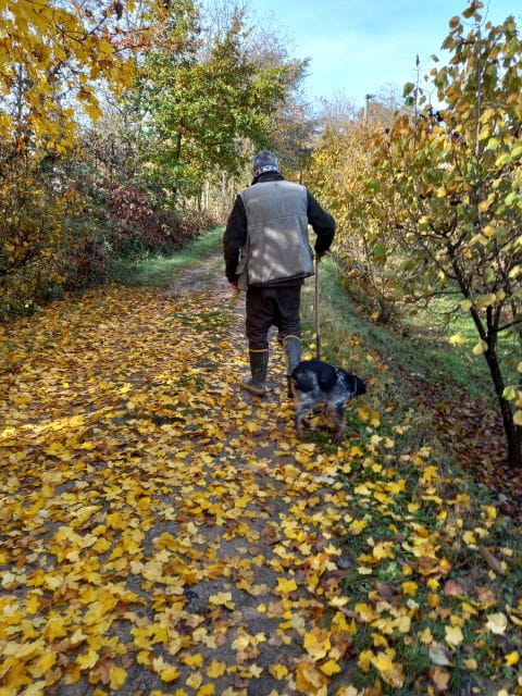 Langhe: Truffle Hunting Experience - The Taste of the Region: Post-Hunt Winery Visits