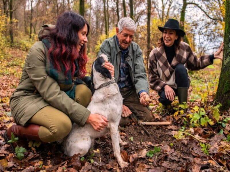 Langhe: Truffle Hunting Tour - What to Expect: An Authentic Truffle Experience