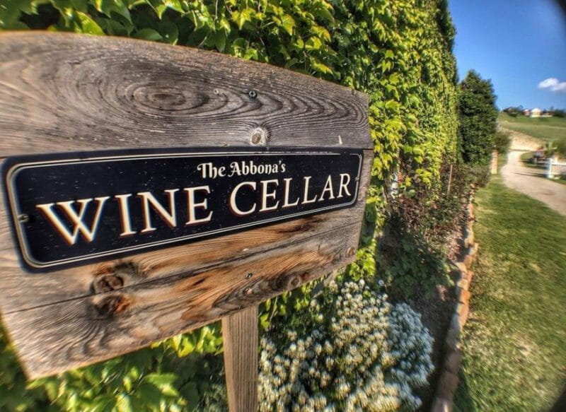 Langhe: Wine and Food Tasting Experience - Key Points / Takeaways