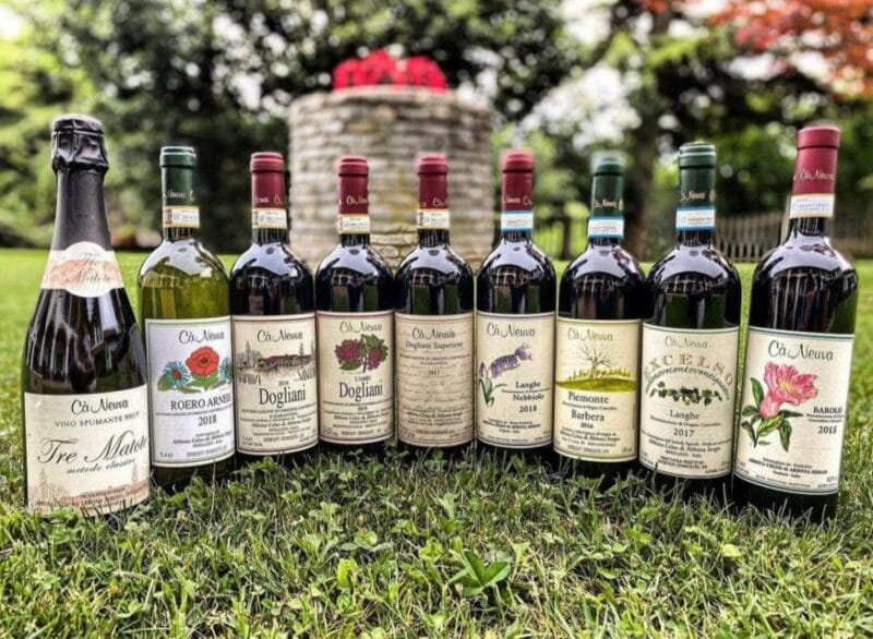 Langhe: Wine and Food Tasting Experience - Entering the World of Langhe Wines: What You Can Expect