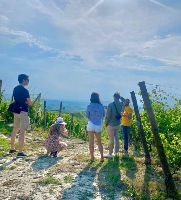 Langhe Wine tour with a Winemaker - A Taste of Piedmont: Wine, Views, and Authenticity
