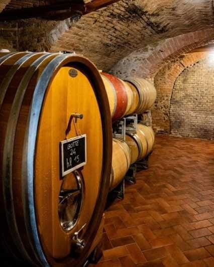 Langhe Wine tour with a Winemaker - Key points / Takeaways