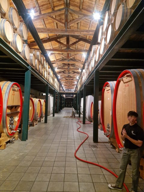 Langhe Wine tour with a Winemaker - Who This Tour Suits Best