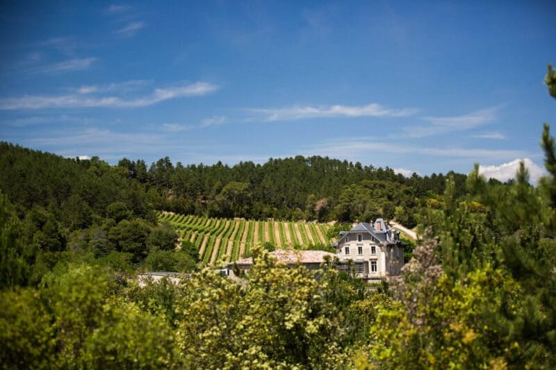 Languedoc: Heritage Tour & Tasting at Domaine de Baronarques - Exploring Domaine de Baronarques: A Closer Look