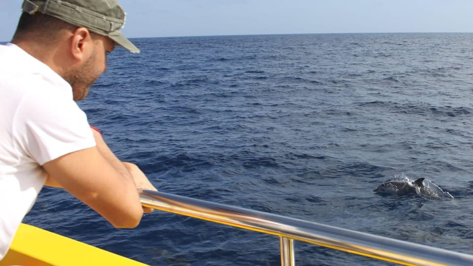 Lanzarote: 2.5-Hour Sunset and Dolphins Cruise - Itinerary and Experience