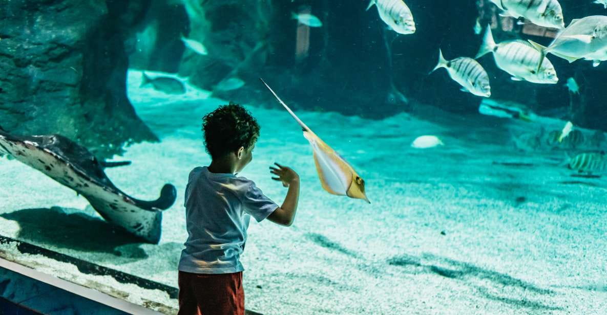 Lanzarote: Aquarium Entry Ticket - Aquarium Highlights