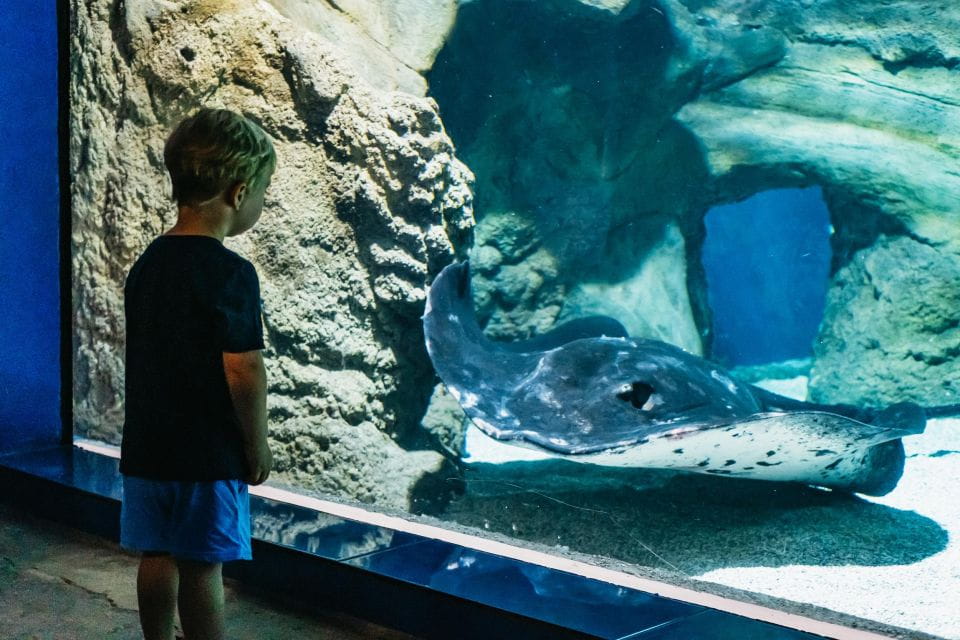 Lanzarote: Aquarium Entry Ticket - Additional Information