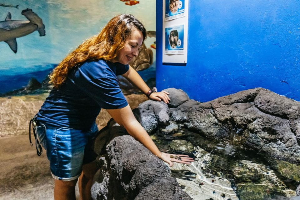 Lanzarote: Aquarium Entry Ticket - Things To Know