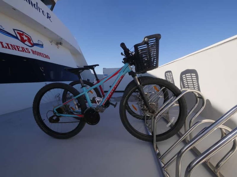 Lanzarote: Ferry to La Graciosa with Wi-Fi (free parking) - Who This Ferry Experience Is Best For