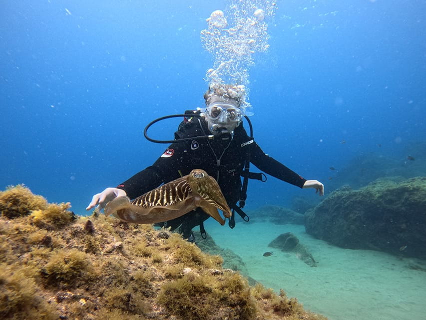 Lanzarote: Intro to Diving Experience for Beginners - Experience Highlights