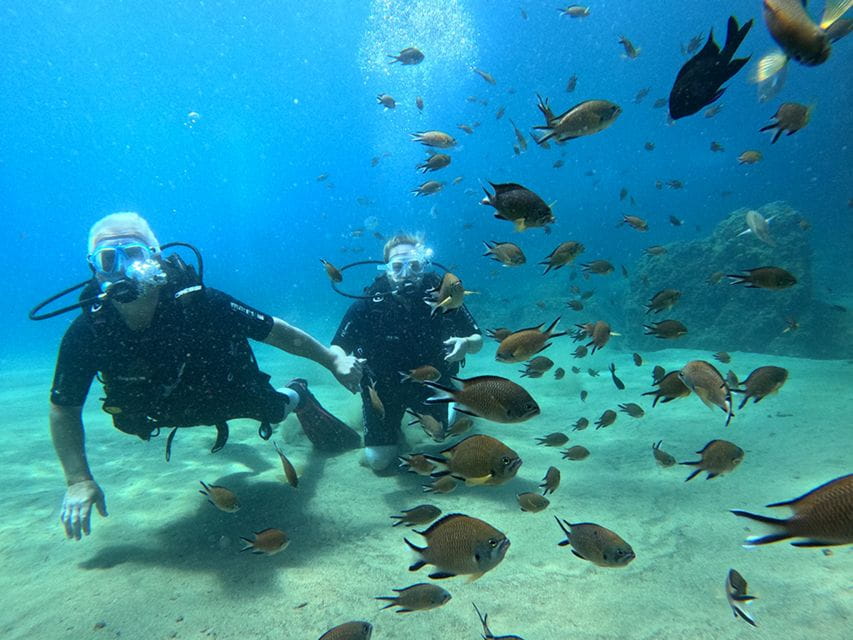 Lanzarote: Intro to Diving Experience for Beginners - Booking and Availability