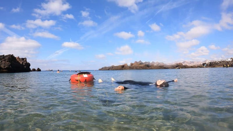 Lanzarote: Intro to Freediving Experience - Price and Value Analysis