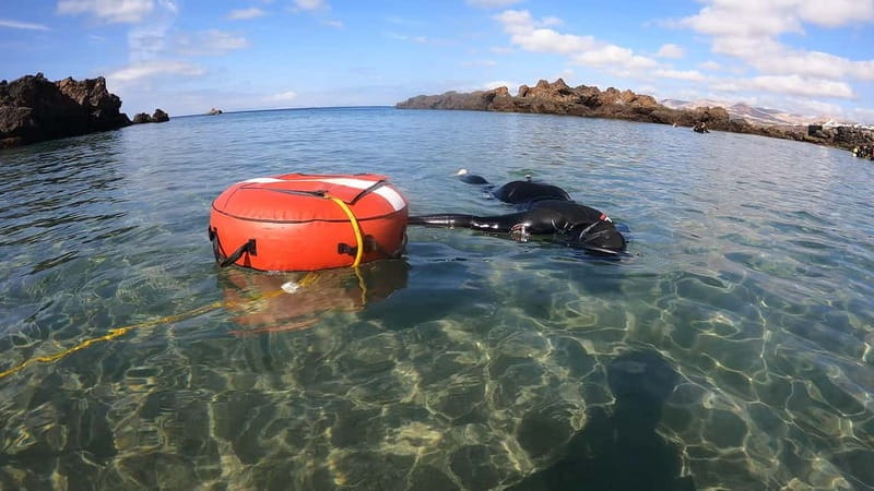 Lanzarote: Intro to Freediving Experience - Final Thoughts