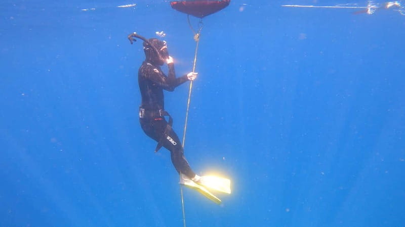 Lanzarote: Intro to Freediving Experience - FAQ