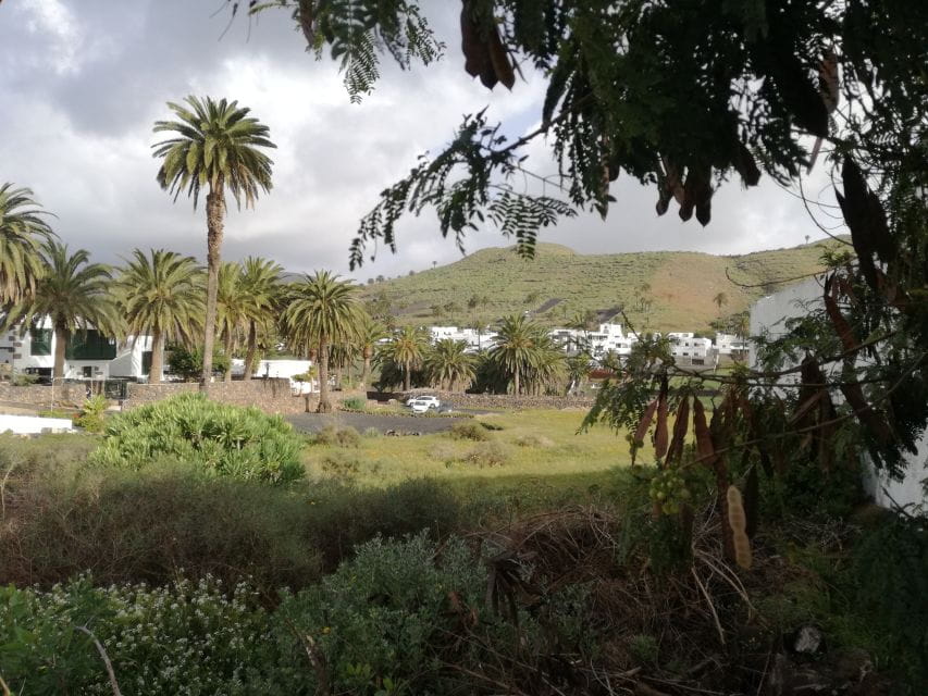 Lanzarote: Jameos Del Agua & North Island for Cruise Guests - Inclusions and Benefits