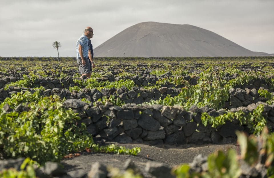 Lanzarote: Journey to the World of EL GRIFO - Guided Tour Details