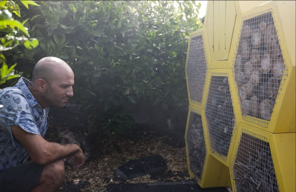 Lanzarote: Journey to the World of EL GRIFO - Customer Feedback