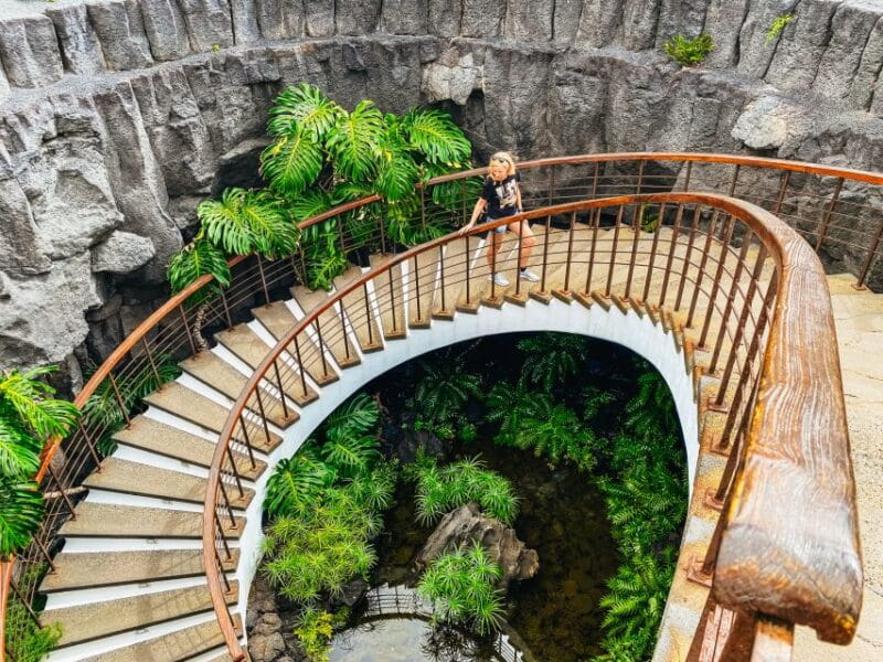 Lanzarote: Legacy of César Manrique Guided Tour - Key points / Takeaways