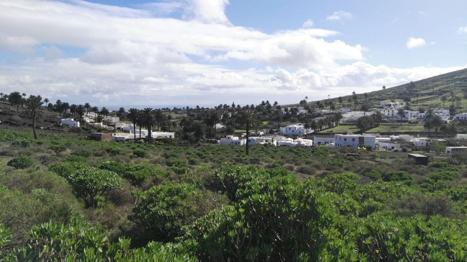 Lanzarote: Northern Cliffs & Valleys Walking Tour - Inclusions and Amenities