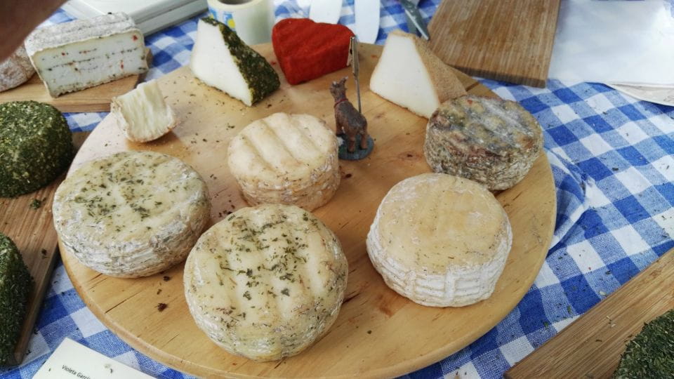 Lanzarote: Northern Cliffs & Valleys Walking Tour - Booking Information and Tips