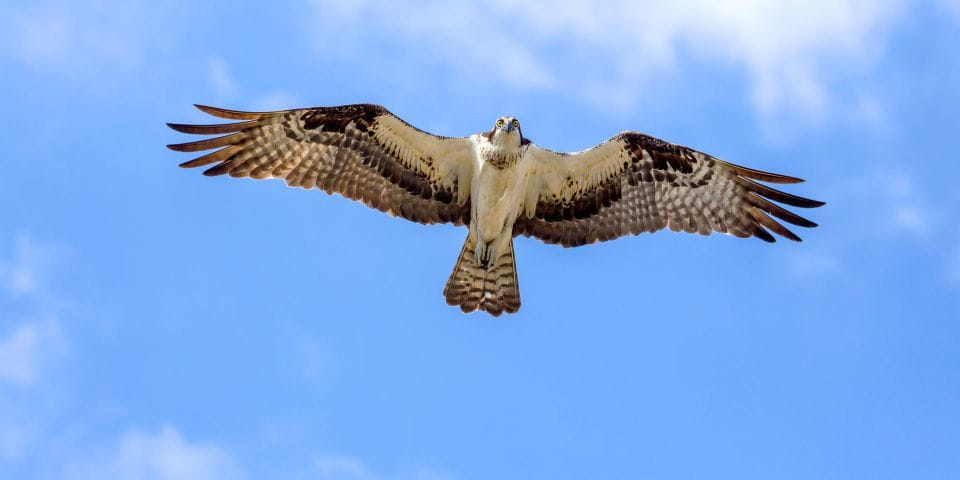 Lanzarote: Northern Cliffs & Valleys Walking Tour - Things To Know