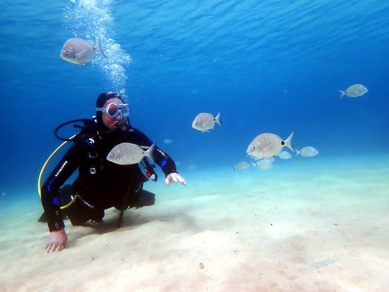 Lanzarote: Small-Group Discover Scuba Diving Costa Teguise - Entering the Underwater World: What You Can Expect
