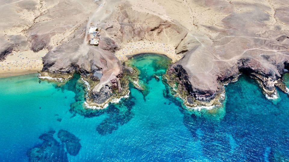 Lanzarote: Snorkel Guided Tour in Papagayo. - Key Points