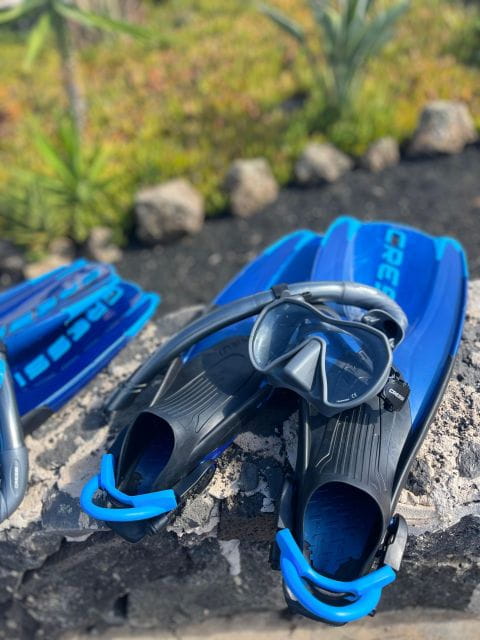 Lanzarote: Snorkel Guided Tour in Papagayo. - Things To Know