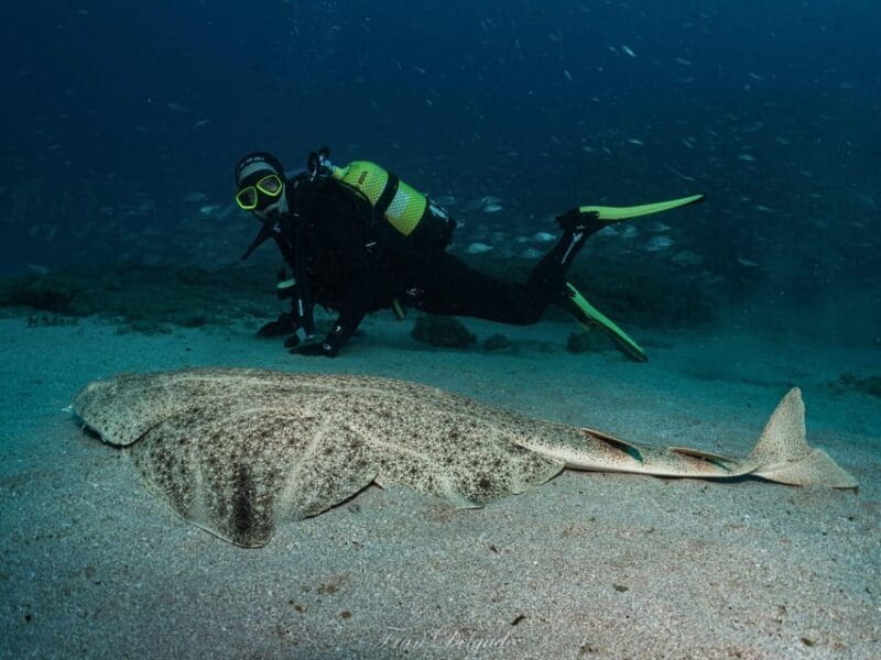 Lanzarote: SSI Open Water Diver Course - Who Will Love This Experience?