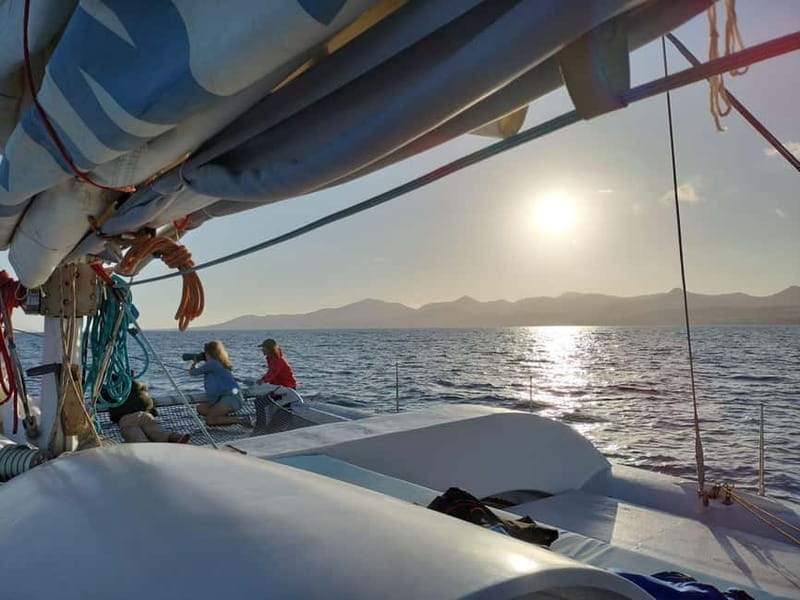 Lanzarote Sunset Experience with dolphin spotting - Final Thoughts: Worth the Investment?