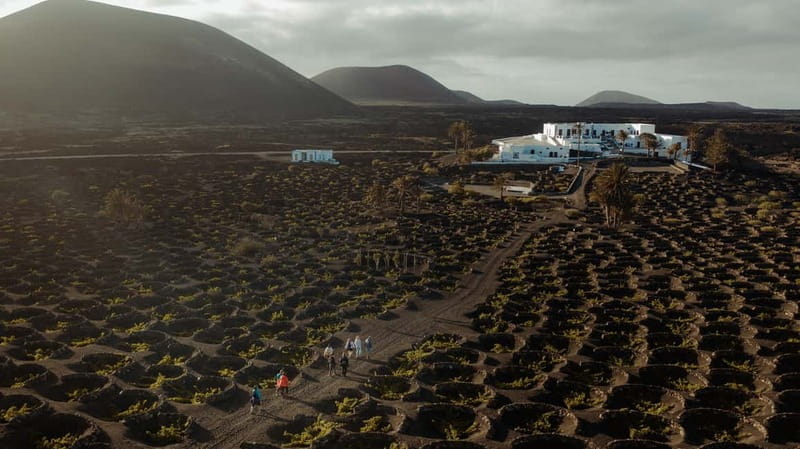 Lanzarote: Sunset vineyard tour with wine and chocolate tasting - A Thorough Look at the Lanzarote Sunset Vineyard Experience