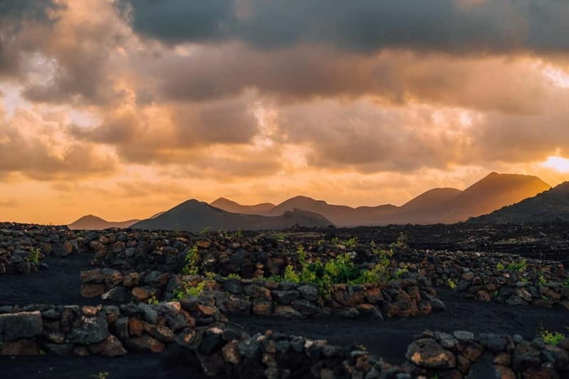 Lanzarote: Sunset vineyard tour with wine and chocolate tasting - FAQ