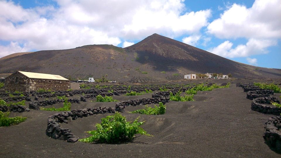 Lanzarote: The Geria Vineyards Hiking Tour - Experience Highlights