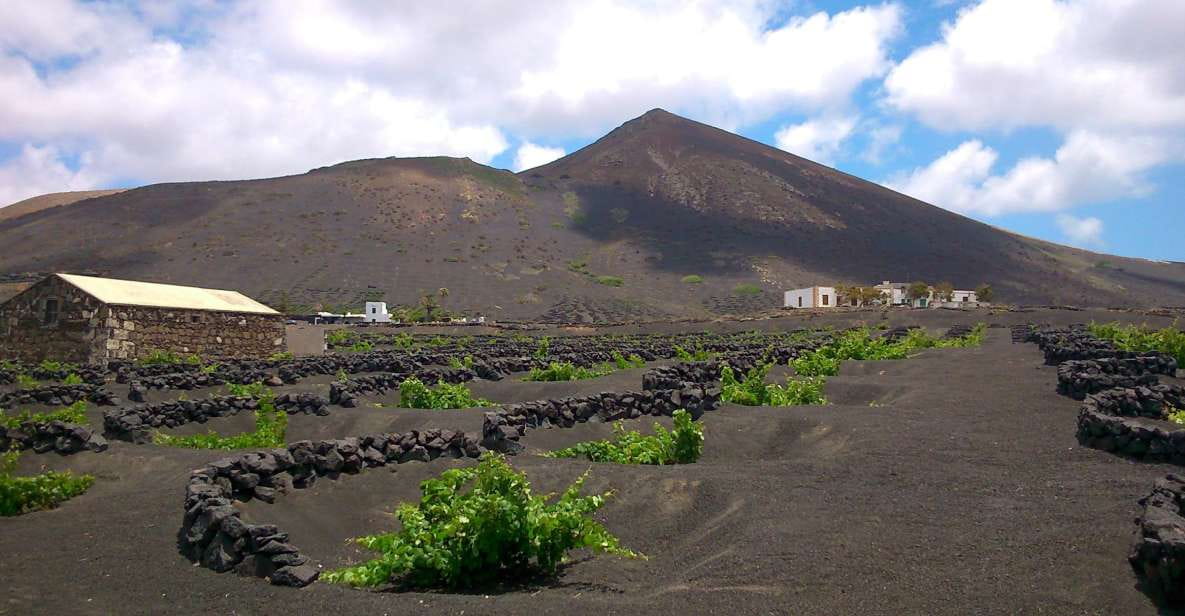 Lanzarote: The Geria Vineyards Hiking Tour - Customer Feedback and Ratings