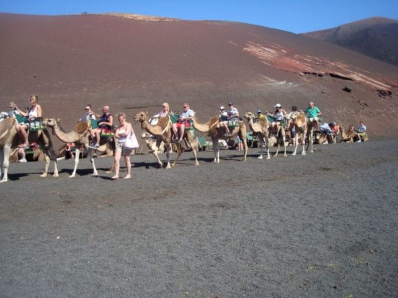 Lanzarote: Timanfaya National Park Tour - Final Thoughts