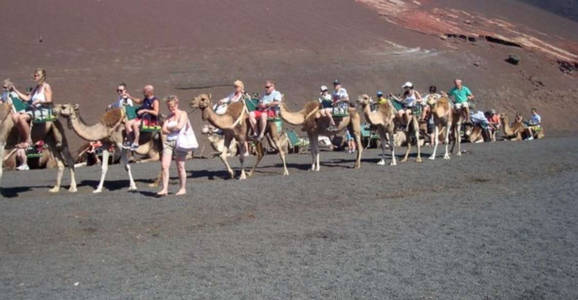 Lanzarote: Timanfaya National Park Tour - Experience Highlights