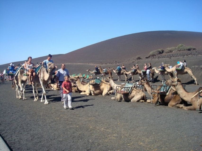 Lanzarote: Timanfaya National Park Tour - Inclusions
