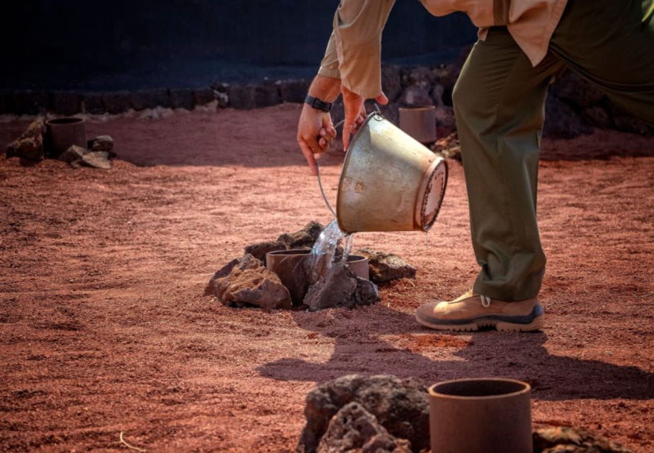 Lanzarote: Timanfaya National Park Volcanic Craters Tour - Things To Know