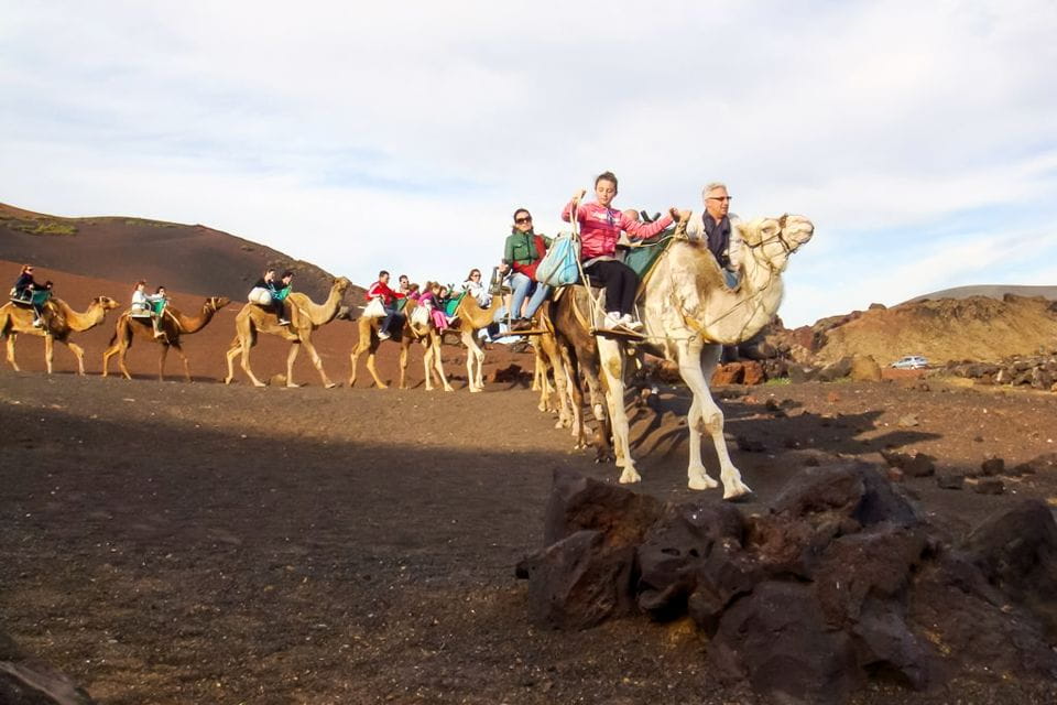 Lanzarote: Timanfaya Park and Jameos Del Agua Full-Day Tour - Itinerary Highlights