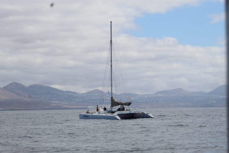 Lanzarote: Whale and Dolphin Watching Eco-Friendly Catamaran - Embarking on Lanzarote’s Eco-Friendly Marine Adventure